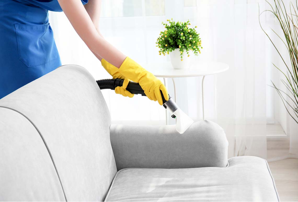steam sofa cleaning services